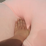 Big Fat Cat Dinosaur Bear Pig Hamster Plush