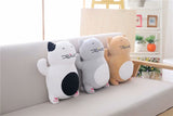 Cat Plush Toys Stuffed Animal Soft Doll Plush