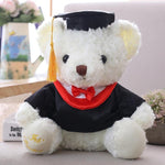 Plush Graduation Teddy Bear with Cap and Gown 2019 Students Graduation Gift